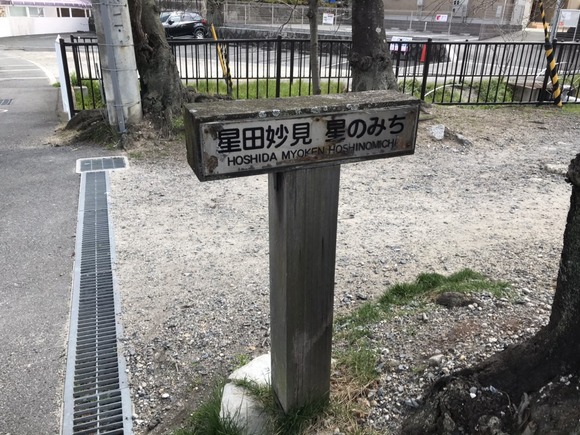 S__43245599