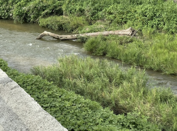 スクリーンショット 2024-07-16 13.52.27