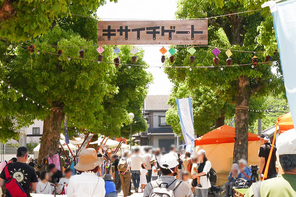 P1690567-1.png