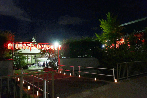 P1380254-1.png
