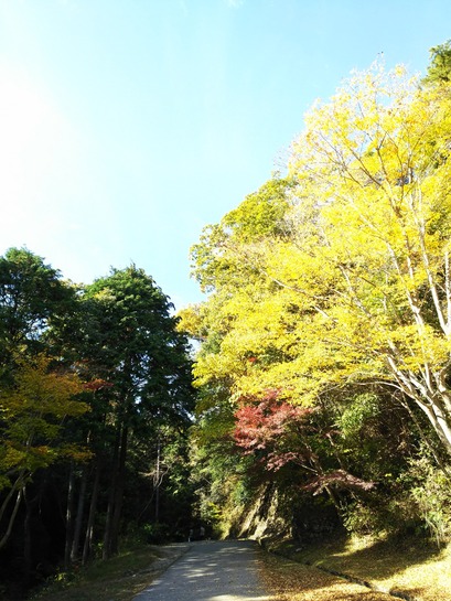 [画像:0ecc2806-s.jpg]