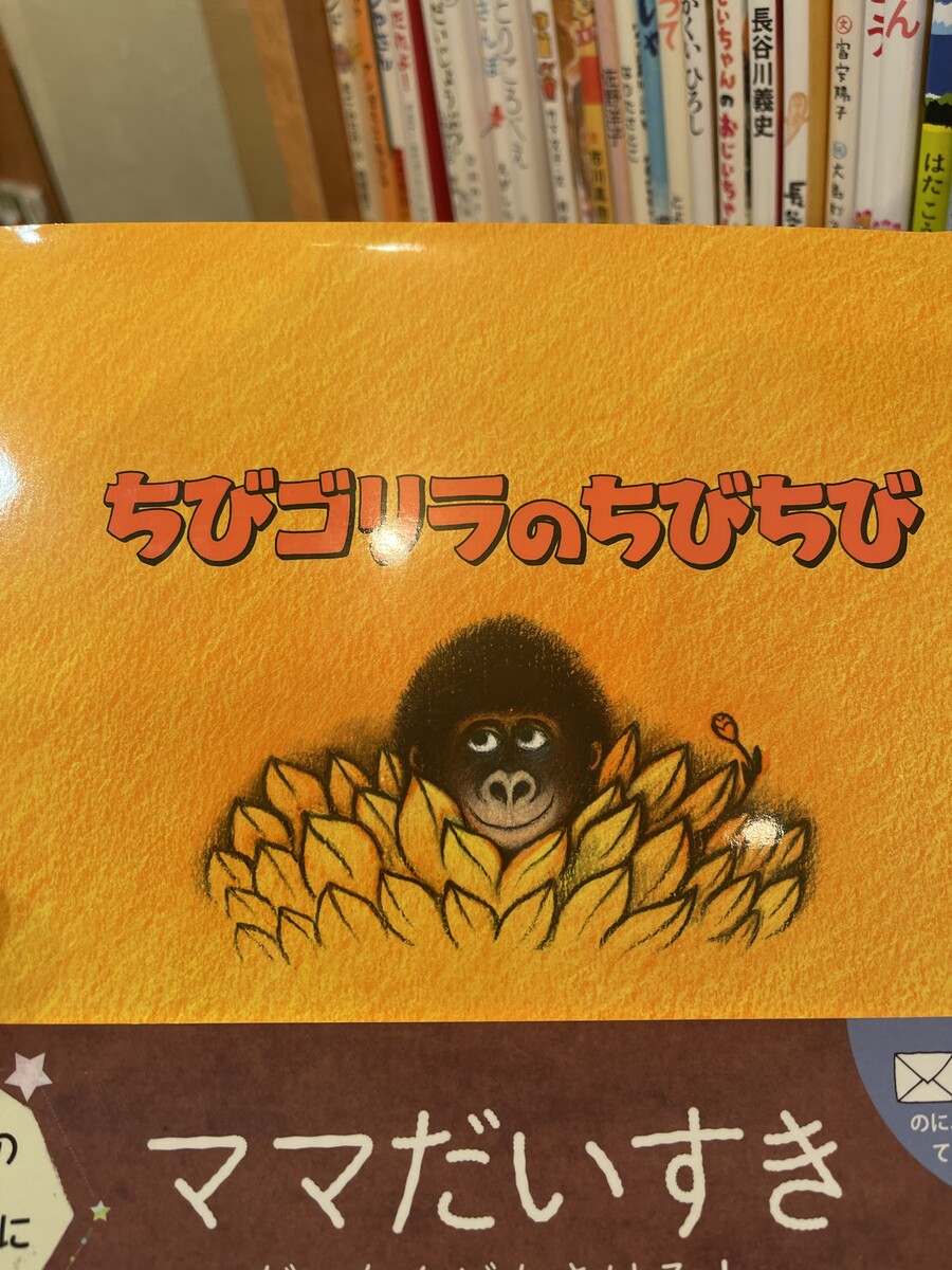 Amazon.co.jp: あかちゃんのあそびえほんおでかけ版ギフトセット