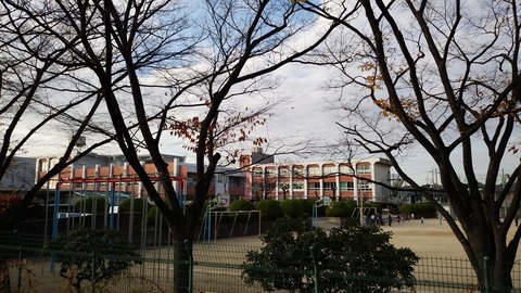 IMG_20151214_152138[1]