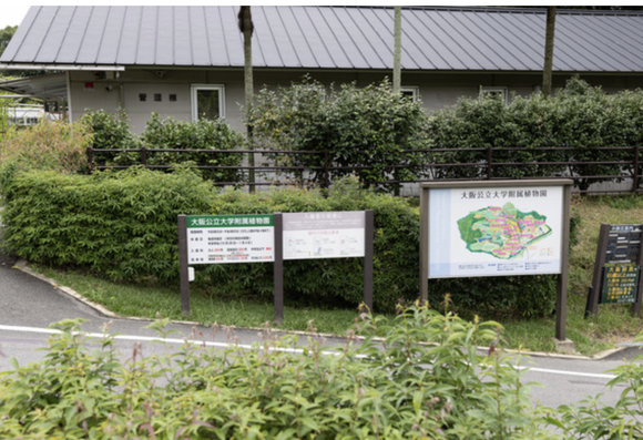 スクリーンショット 2025-08-10 21.23.27