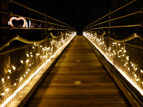 星のブランコイルミネーション