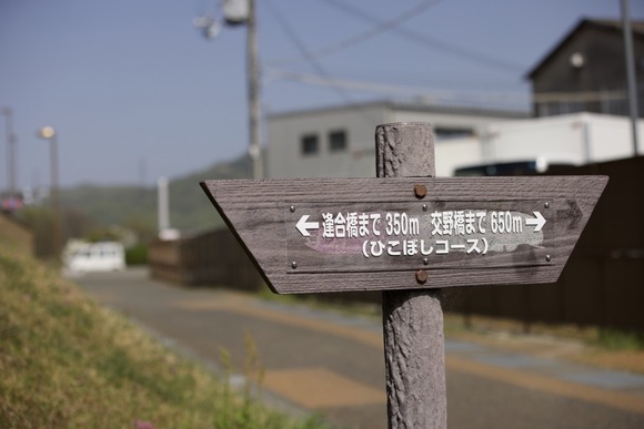 0S4A9353（大）