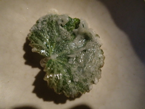 P4040456