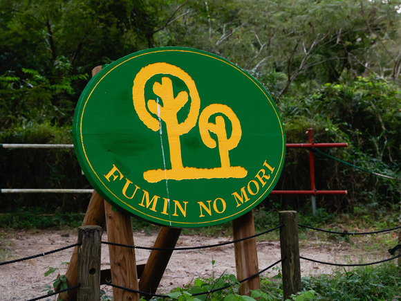 星のブランコイルミネーション