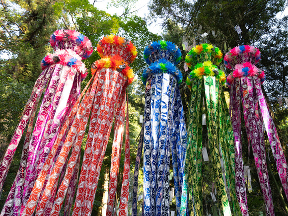 星田妙見宮七夕_0103