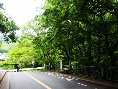(1)P5070096