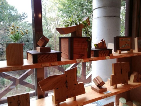 IMG_20161021_151036_resized_20161021_083116317