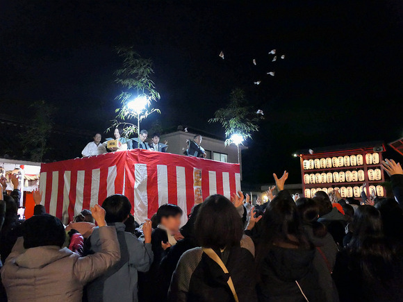 P1149378-1.png