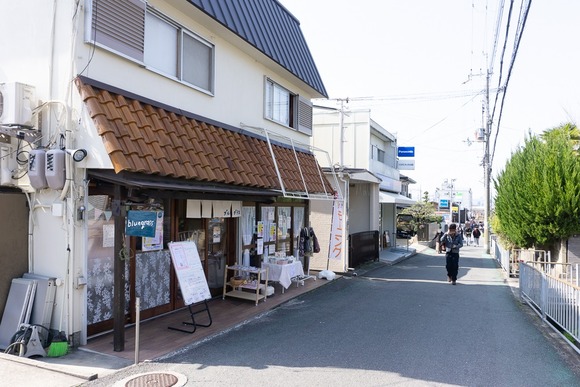 bluegrass 202403222-2