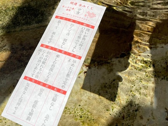 278183648_2549087098559989_286723838465204048_n