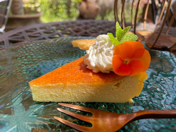 278569258_2560781517390547_64343819308622695_n