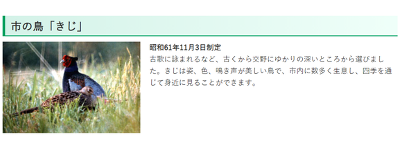 スクリーンショット (14)