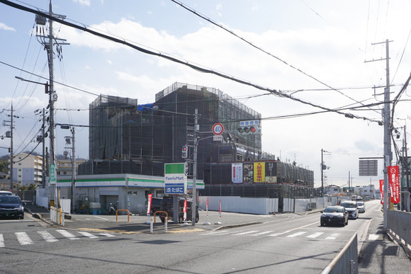 本日のおすすめ 2024年2月-11