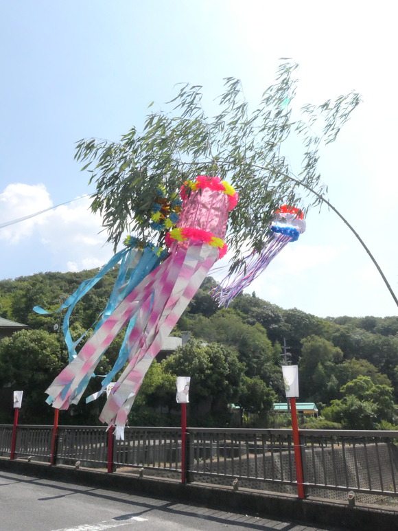 P1758816