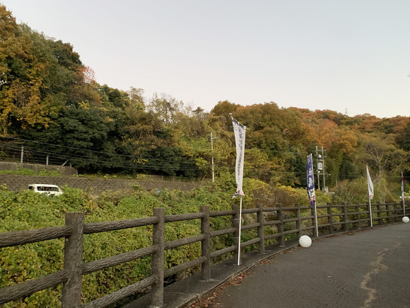 2025-11-29_17-00-57_551