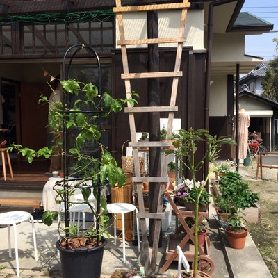写真 2016-04-09 10 24 03