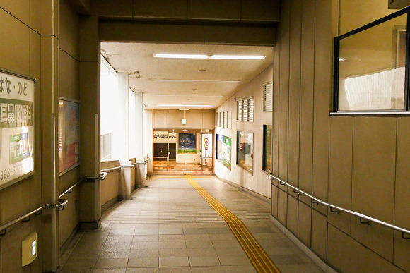 P1930697-1.png