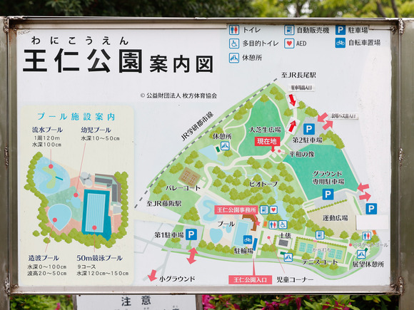 EOS 7D Mark II_0165