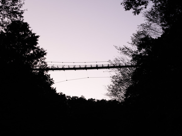 星のブランコイルミネーション