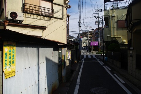 IMGP5265(1)