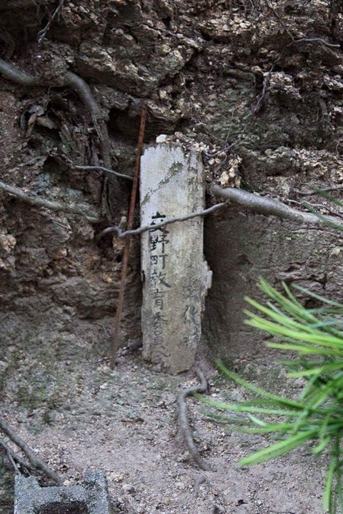 FB_IMG_1445381811673[1]