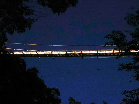 星のブランコイルミネーション