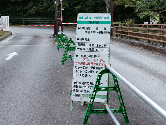 星のブランコイルミネーション