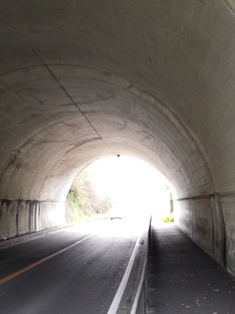 IMG_20161206_100903[1]