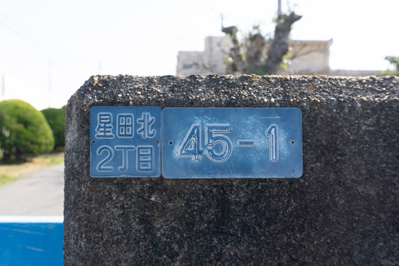藤が尾小学校 2024年-1