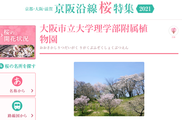 スクリーンショット (2)