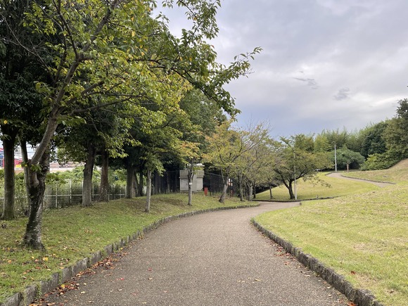 C2A1CDC4-61F3-4E39-8C21-96B91FE37E3A