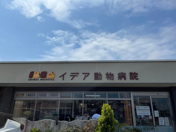 278713126_2560780910723941_2681159073893740430_n