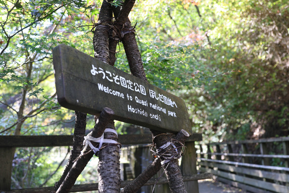 1M5A8247