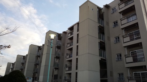 IMG_20151214_154346[1]