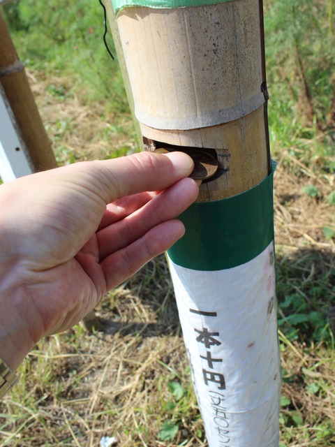 15-10-21-13-02-52-805_deco[1]