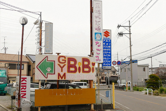 P1290254-1.png