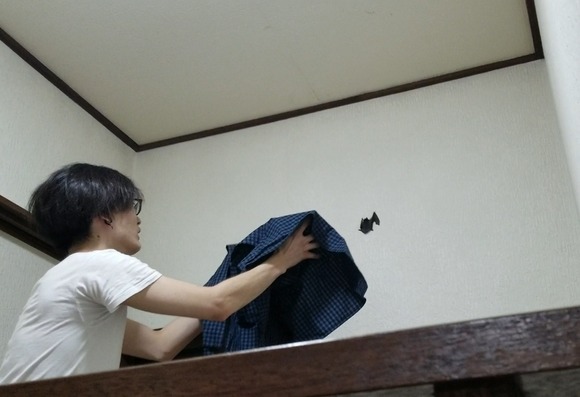 Screenshot_20210529-204024_Video Player