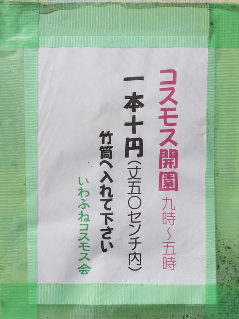 15-10-21-13-05-51-350_deco[1]