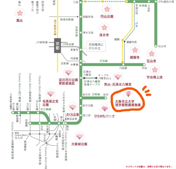 スクリーンショット (10)_LI