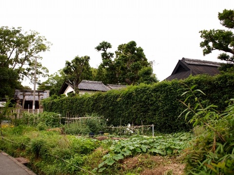(1)P6222564