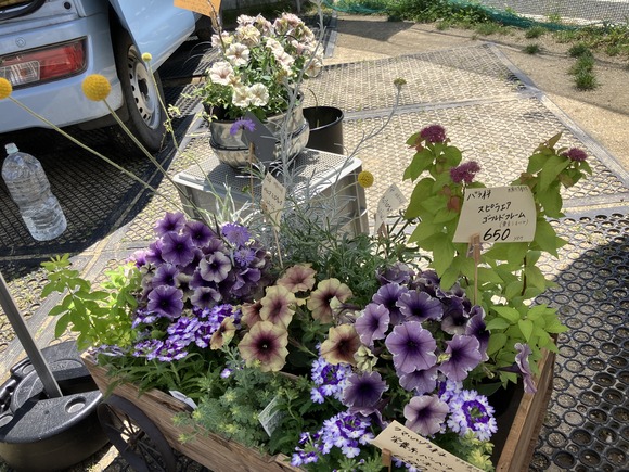 2024-05-20_10-41-24_844