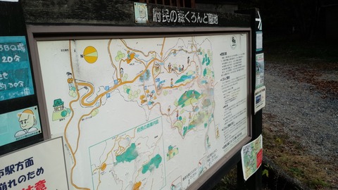 IMG_20151107_135419[1]