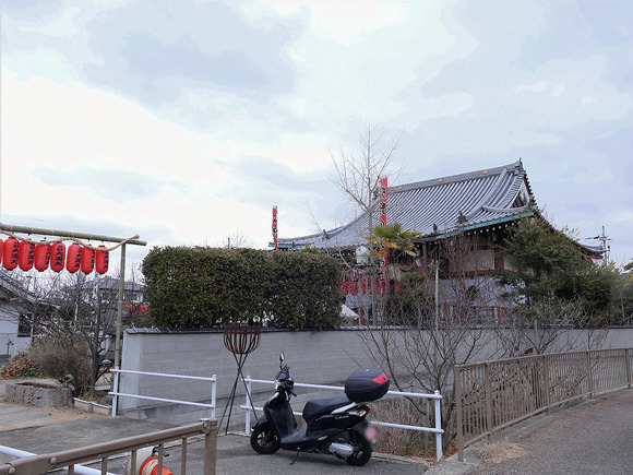 P1127504-1.png