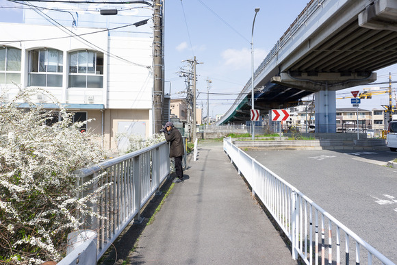 郡津 カモ 202403227