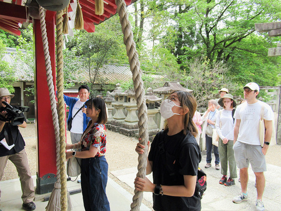 IMG_1331-1.png