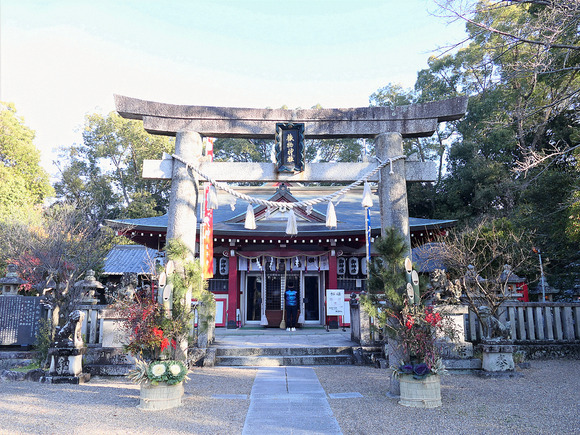 P1093778-1.png